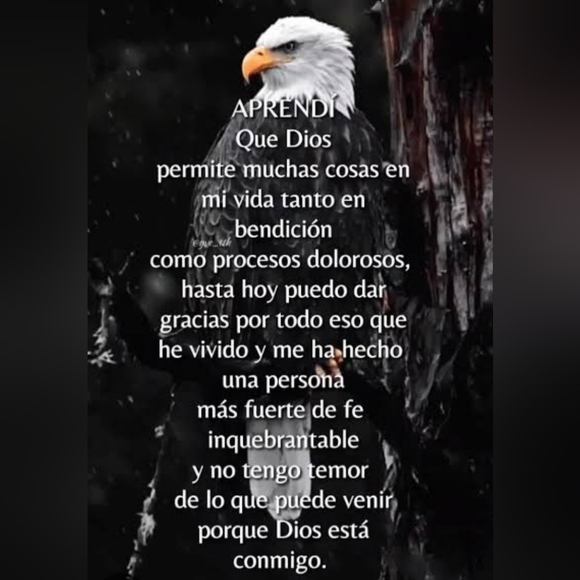 💕Por favor, dale me gusta a esta publicación para mis fiestas en español - Picture 2 of 16